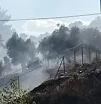 Milas-Söke karayolu üzerindeki yangın büyümeden söndürüldü