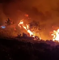 Milas'ta alevler geceyi aydınlattı