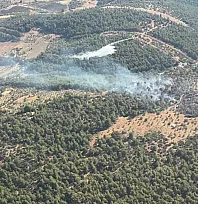 Milas'ta çıkan zirai yangın kısa sürede kontrol altına alındı