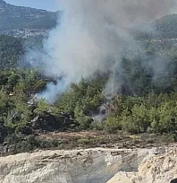 Milas'ta orman yangını