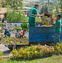 Milas'ta park ve yeşil alanlar yenileniyor