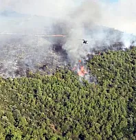 Milas yangınına havadan ve karadan müdahale sürüyor