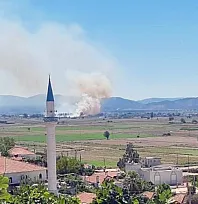 Milas Yaşyer'de ot ve sazlık yangını
