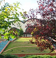 MSKÜ, UI GreenMetric dünya sıralamasında 87 basamak yükseldi