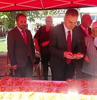 Muğla'da 15 Temmuz şehitleri için '253 Hatim' duası okundu