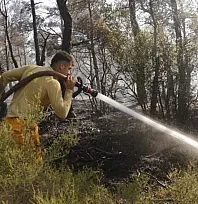 Muğla'da ateş savaşçılarının bölgedeki çalışmaları sürüyor