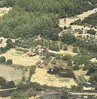 Muğla'da çıkan orman yangını söndürüldü