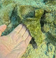 Muğla'da çocuğun dalışta fark ettiği kalıntılar antik izlere işaret etti