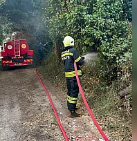 Muğla'da korkutan ot yangını: 30 metrekare alan zarar gördü