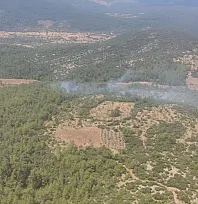 Muğla'da orman yangını kontrol altına alındı