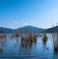 Muğla'da Sıcaklıklar 10 Derece Düştü! Meteoroloji Yeni Hava Durumu Tahminini Açıkladı