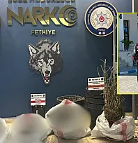 Muğla'da Temmuz ayında narkotik operasyonları: 29 tutuklama