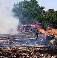 Muğla'da tonlarca saman balyası yandı