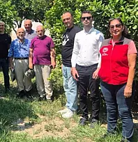 Muğla'da turunçgil üretiminde biyolojik mücadele çalışmaları sürüyor