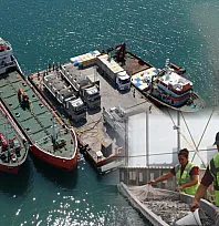Muğla'da üretilen balık yavruları yurt dışına satılıyor