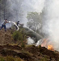 Muğla'da 'Yeşil Vatan' için vatandaşlar seferber oluyor
