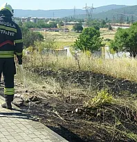 Muğla'da yol kenarına atılan sigara izmariti yangın çıkardı