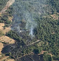 Muğla'daki orman yangını kontrol altına alındı