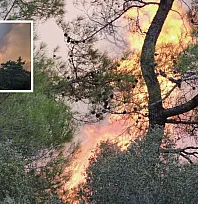 Muğla'daki orman yangınına müdahale devam ediyor