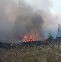 Muğla'daki orman yangınında 1 kişi gözaltına alındı