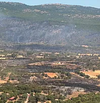 Muğla'daki yangına 90 saniyede 15 ton su bıraktılar