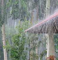 Muğla hava durumu 2 Şubat 2026: 13 ilçede kuvvetli sağanak