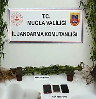 Muğla Jandarmasından uyuşturucu tacirlerine operasyon: 33 tutuklama