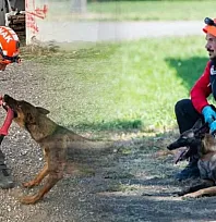 Muğla'nın arama kurtarma köpekleri Tayga ve Foxy görev yeterlilik sınavını geçti