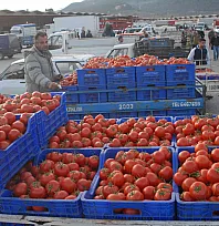 Muğla'nın Haziran ayı ihracatı 125,9 milyon dolar