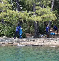 Muğla'nın Koylarından 2026'da 10 Ton Çöp Toplandı