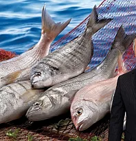 Muğla'nın su ürünleri ihracatı Ege'nin zirvesinde