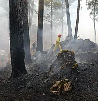 Muğla Valiliği'nden 'Yangın' uyarısı