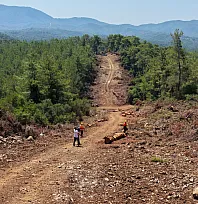 Muğla ve Aydın'da Orman yangın şerit yolu uzunluğu 2 bin kilometreye çıkıyor