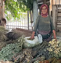 Nif'in dağlarından Fethiye Salı Pazarı'na: Doğanın şifasını tezgahına taşıyor