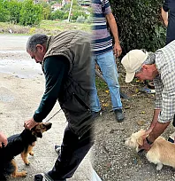 Ortaca'da kedi ve köpeklere kuduz aşısı