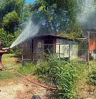 Ortaca'da korkutan yangın! Alevler kulübeyi sardı