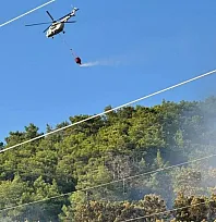 Ortaca'daki orman yangını kontrol altına alındı