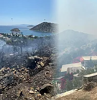 Rüzgar alevleri büyüttü, Bodrum'daki yangın kontrol altına alındı