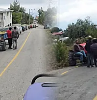 Seydikemer Arsa'da üzüm üreticisi çaresiz