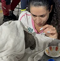 Seydikemer'de alevlerin arasından kurtarılan kaplumbağa için zamanla yarışıldı