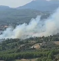 Seydikemer'de Orman Yangını: Havadan ve Karadan Müdahale Ediliyor