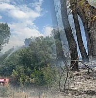 Seydikemer'de orman yangını kontrol altına alındı