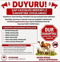 Seydikemer'de şap alarmı: 6 mahalle karantinaya alındı