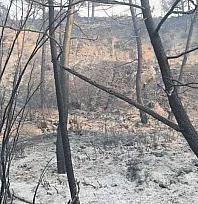 Seydikemer'de Yangının İlerleyişi Büyük Ölçüde Kontrol Altına Alındı