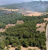 Seydikemer'deki orman yangını kontrol altına alındı