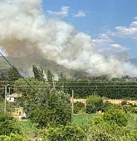 Seydikemer'deki orman yangınına 7 hava aracı ile müdahale ediliyor