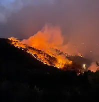 Seydikemer Yangınında Gece Mesaisi! Müdahale Karadan Devam Ediyor