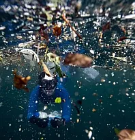 Sıfır Atık Vakfı, plastik kirliliğiyle mücadelede ortak yol haritası için çalıştay düzenleyecek