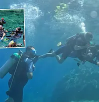Su altının renkli dünyası, Marmaris'e dalış turizmiyle hayat veriyor