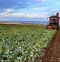 Tarımda 2027 üretim yılı biyolojik ve biyoteknik mücadele destekleri belirlendi